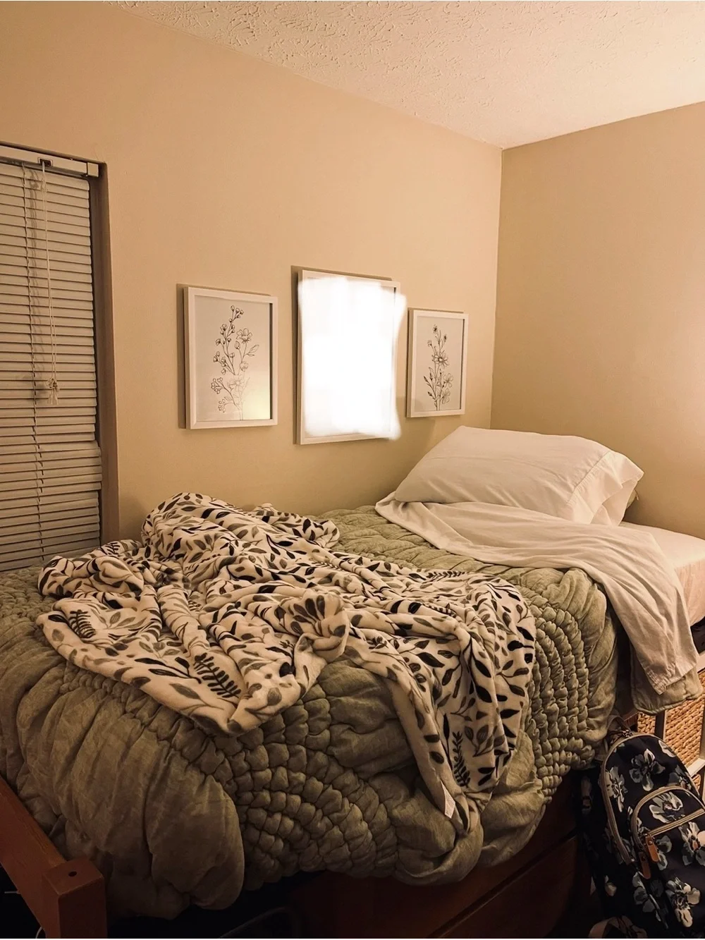 Pottery Barn Teen Dorm Cream Puff Twin XLComforter Set - Sage (Comforter + Sham)